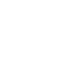custom-icon