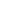 custom-icon