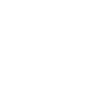 custom-icon