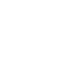 custom-icon
